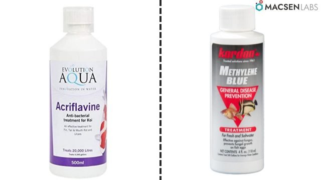 Acriflavine vs Methylene Blue