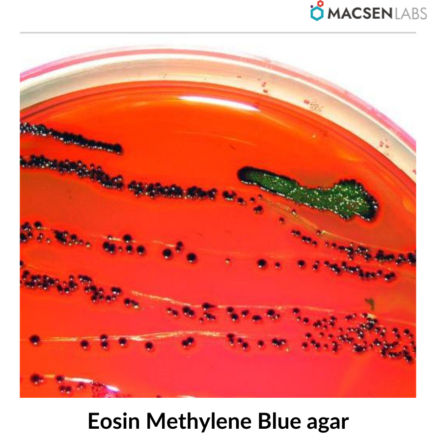 Eosin Methylene Blue agar