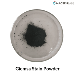 Giemsa Stain | Composition, Principle, Procedure & Uses