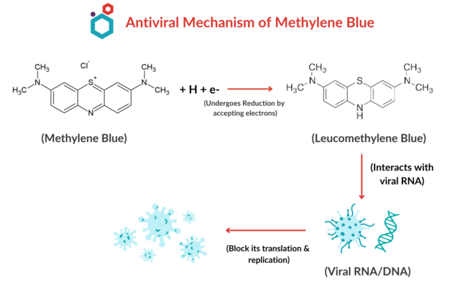 Mechanism of Methylene Blue against Lumpy Skin Disease 